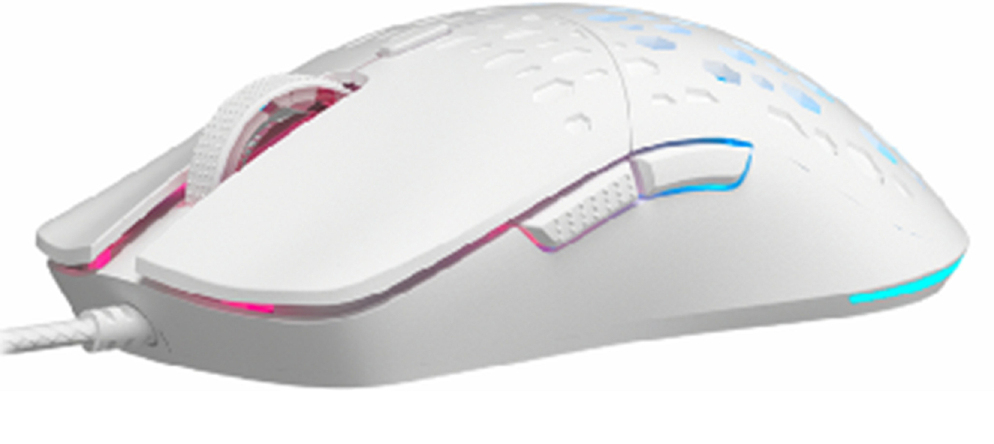 800~7200dpi調整対応 RGBライト エルゴノミックデザイン キーボード マウス 725IC チップ ゲーマー ゲーム愛好者