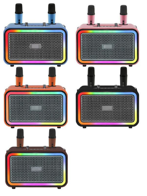 高精度MVSILICON ICチップ DSP音声処理 2つの4インチウーファー 3000mAhバッテリー 双線無線マイク